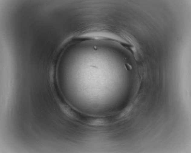 X0000113990058200910091346