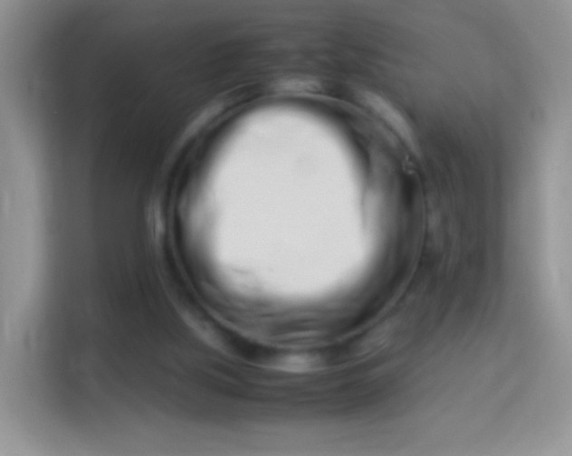 X0000113990059200910091346