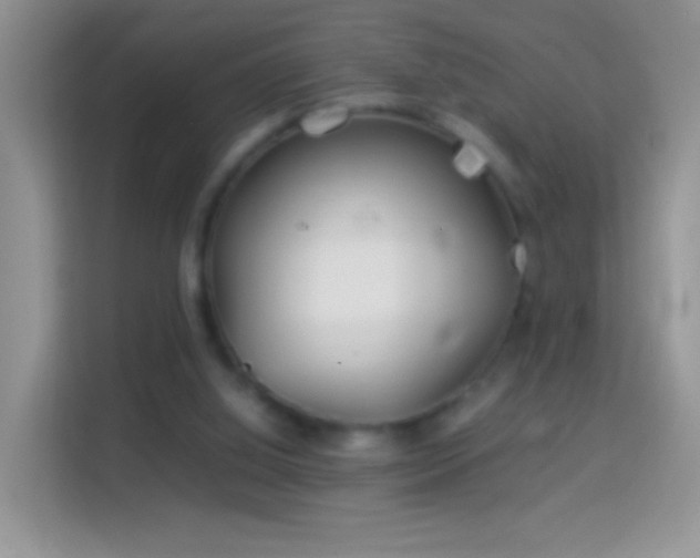 X0000113990060200910091346