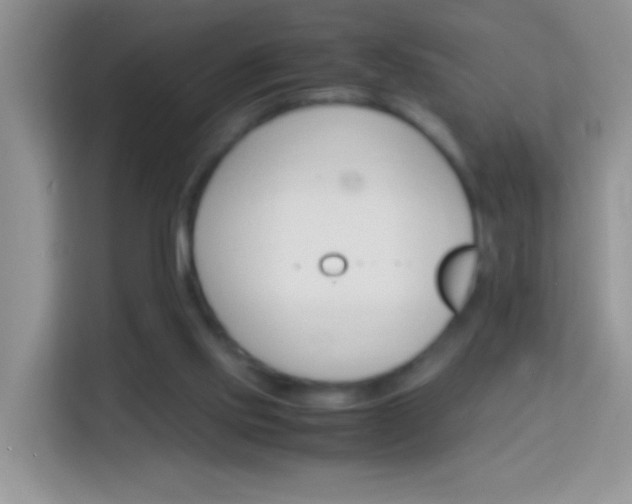 X0000113990061200910091346