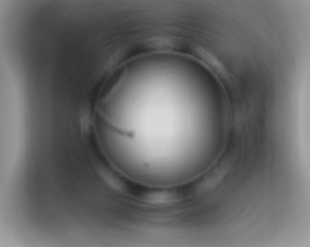 X0000113990065200910091346