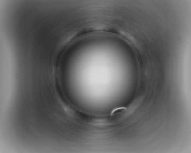 X0000113990066200910091346