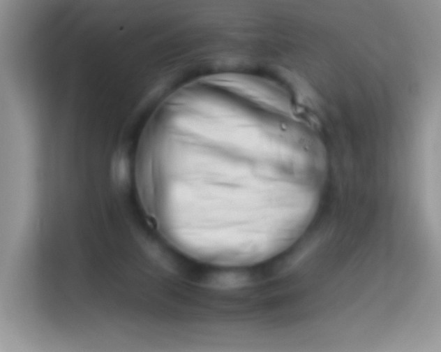 X0000113990067200910091346