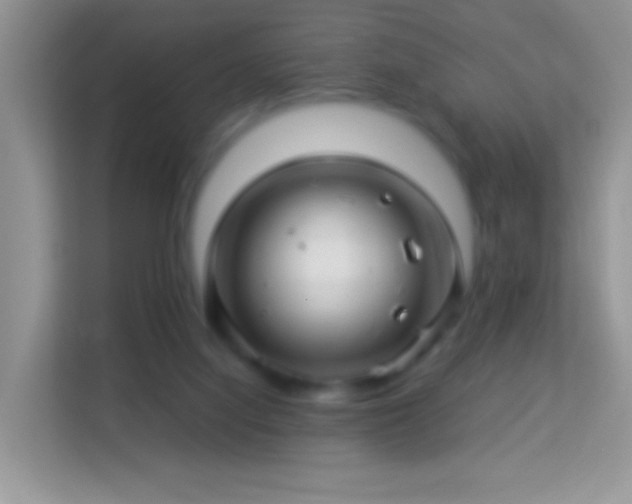 X0000113990068200910091346