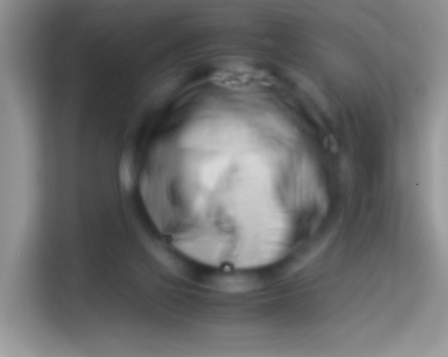 X0000113990069200910091346