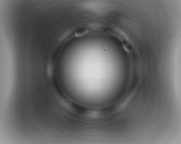 X0000113990071200910091346