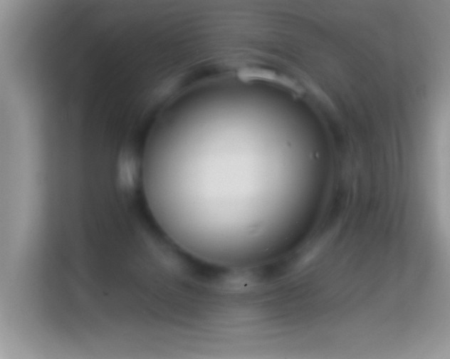 X0000113990076200910091347