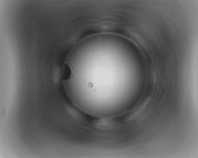 X0000113990077200910091347