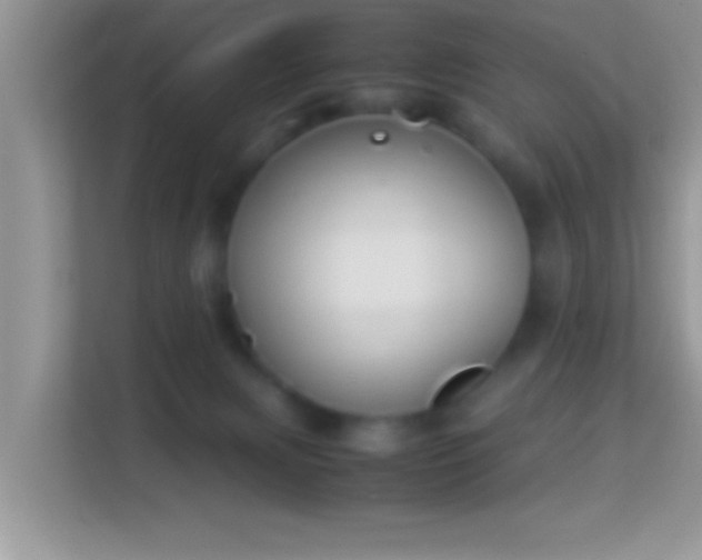 X0000113990079200910091347