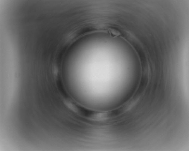 X0000113990084200910091347