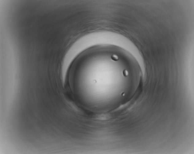 X0000113990088200910091347