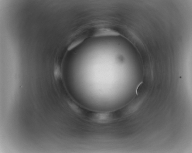 X0000113990089200910091347