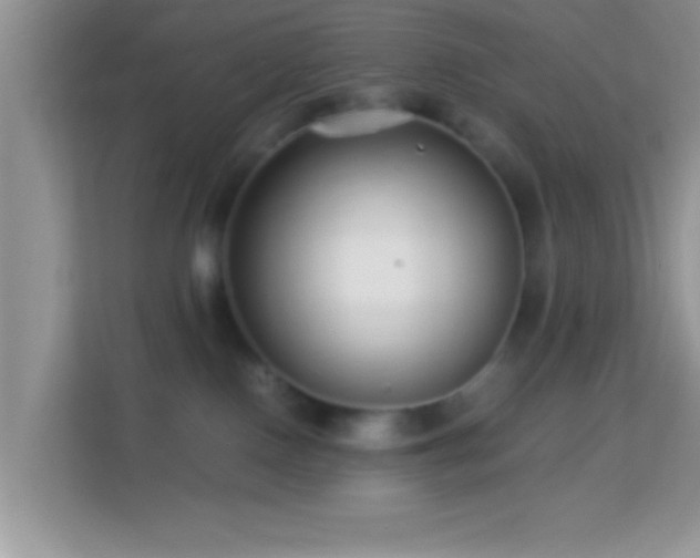 X0000113990090200910091347