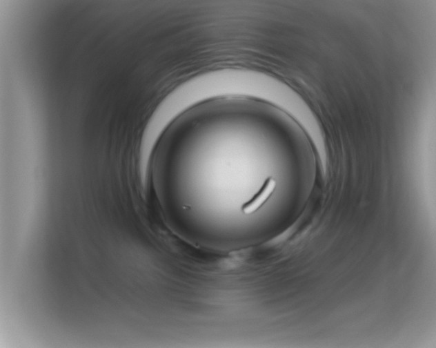 X0000113990092200910091347