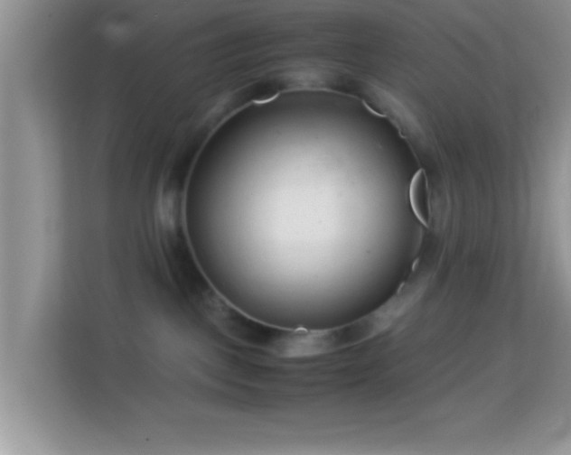 X0000113990093200910091347