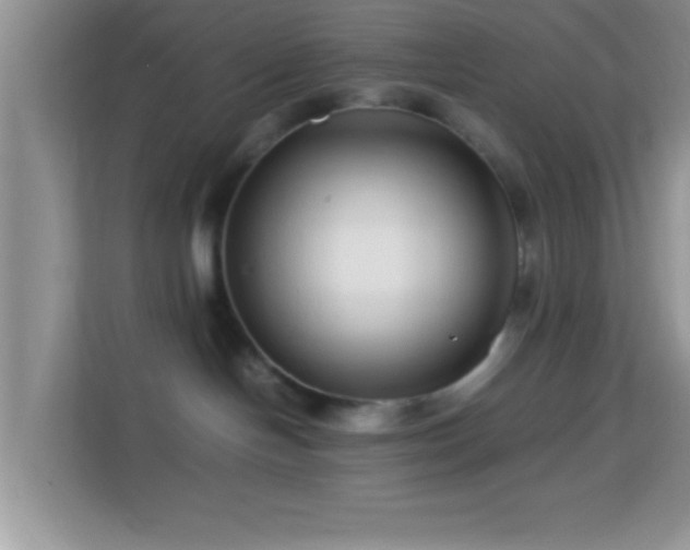 X0000113990094200910091347