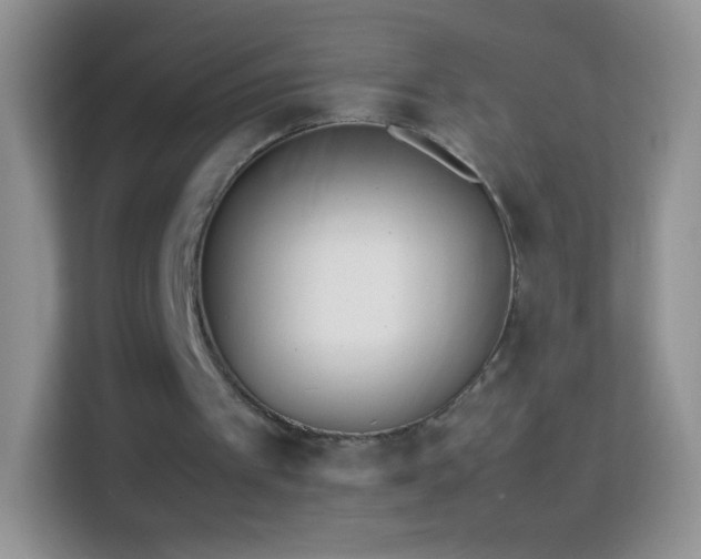 X0000113990097200910091346