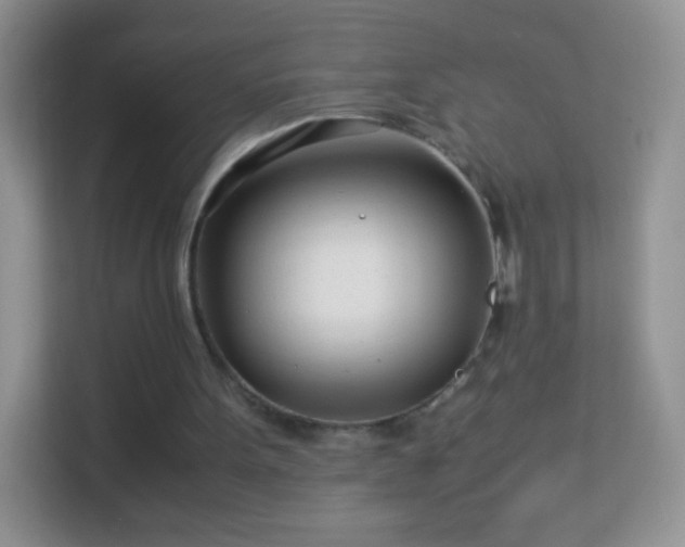 X0000113990099200910091346