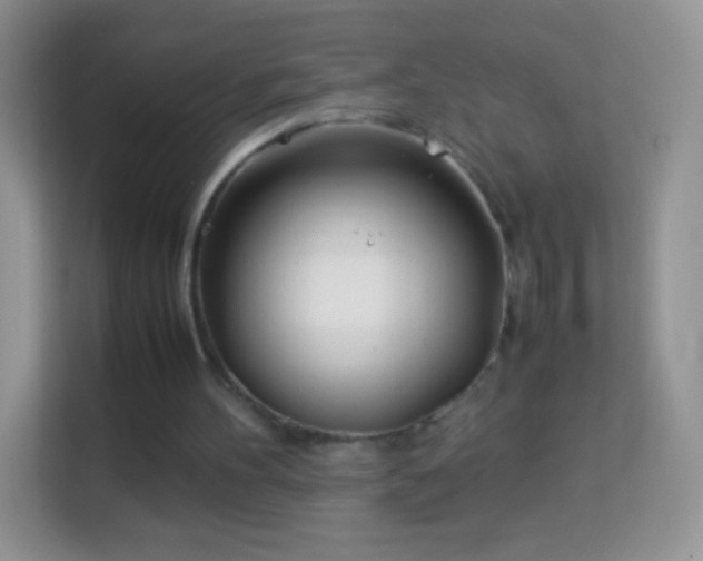 X0000113990100200910091346