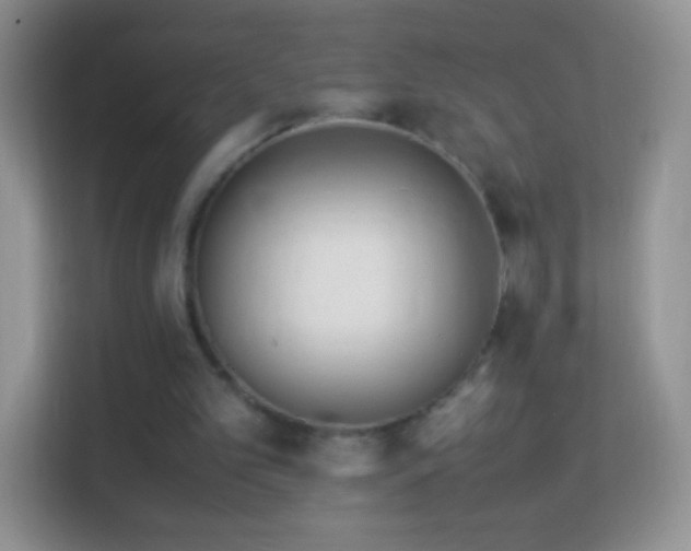 X0000113990101200910091346