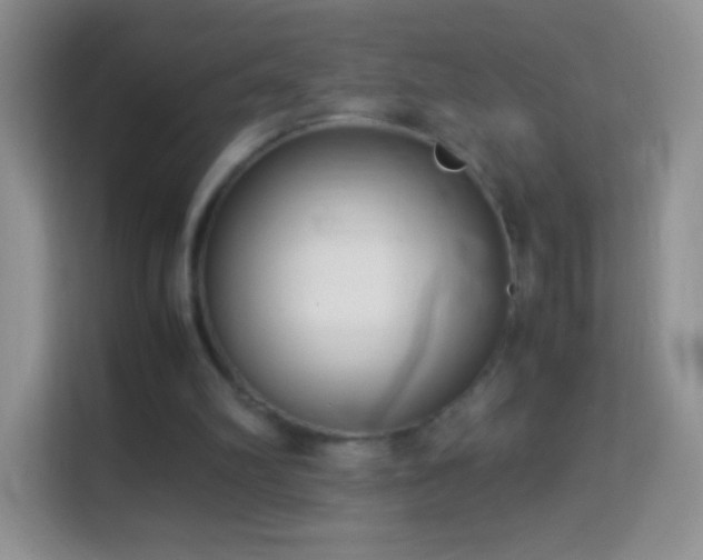 X0000113990102200910091346