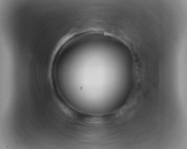 X0000113990104200910091346