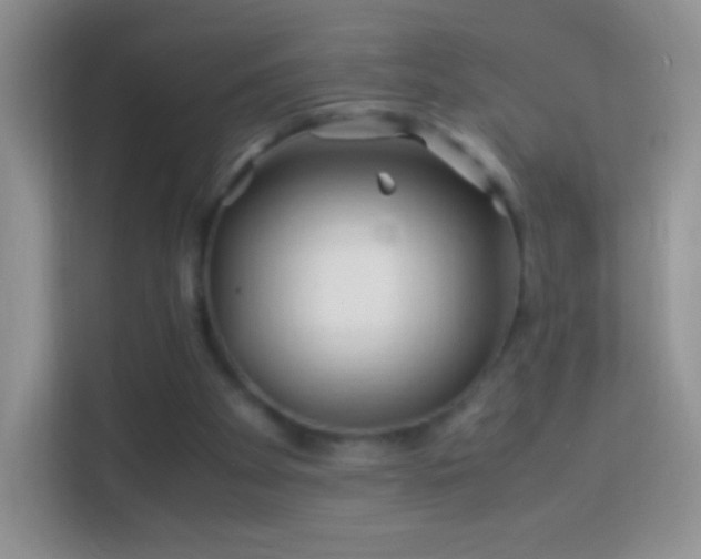 X0000113990105200910091346