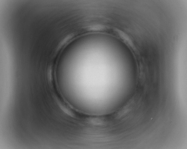 X0000113990106200910091346