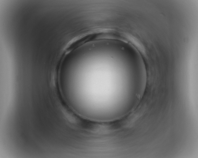 X0000113990107200910091346