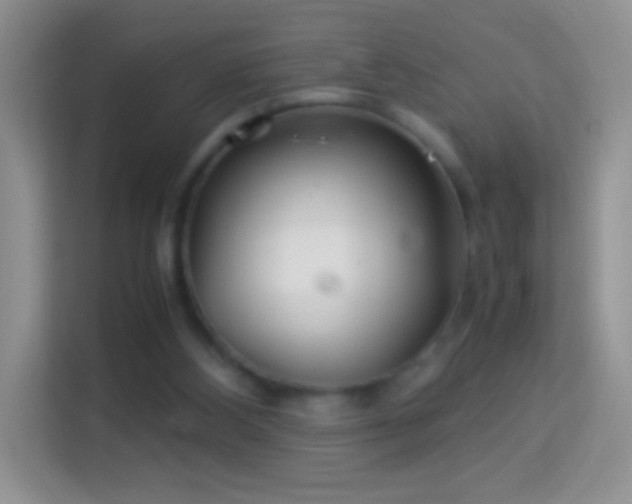 X0000113990108200910091346