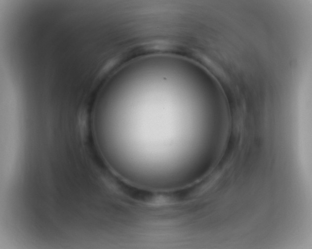 X0000113990111200910091346