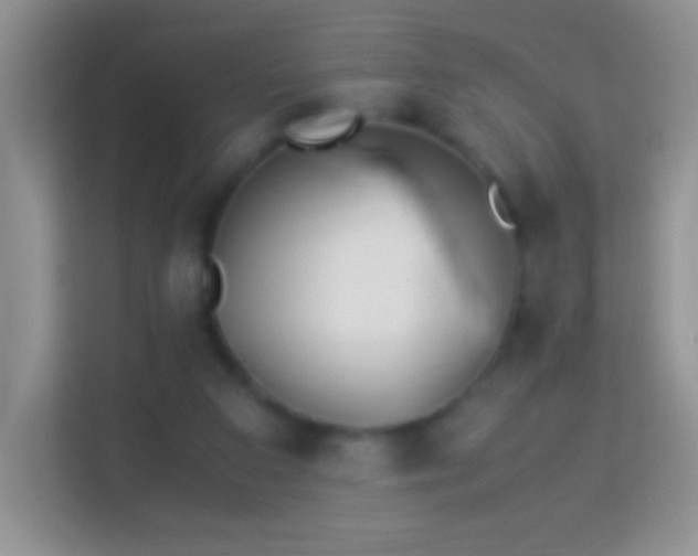 X0000113990113200910091346