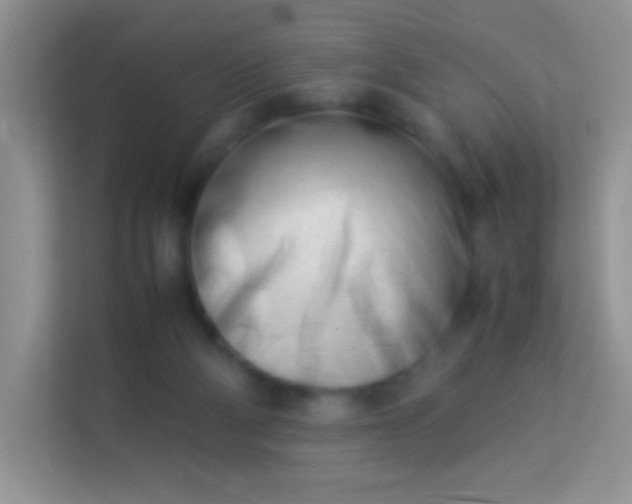 X0000113990114200910091346