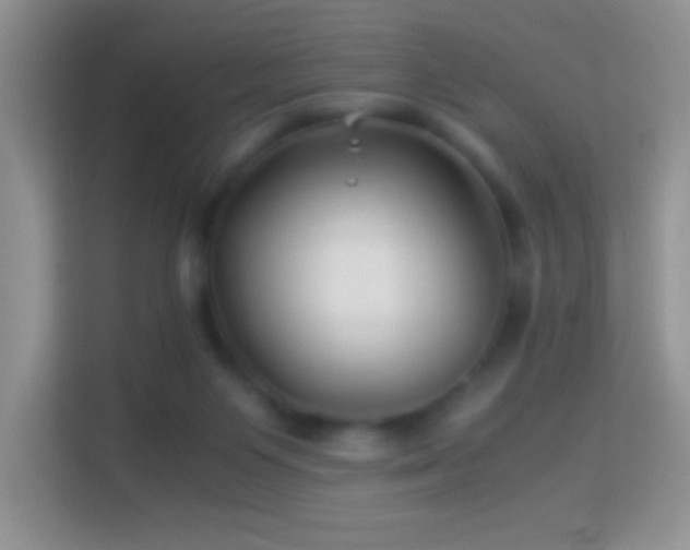 X0000113990119200910091346