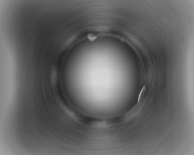 X0000113990120200910091346