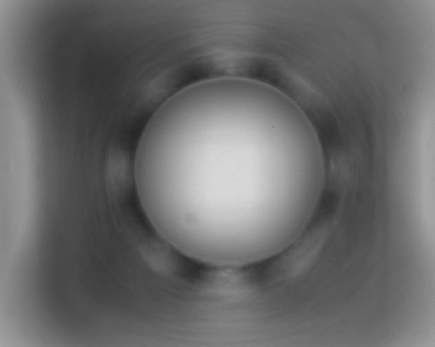 X0000113990121200910091346