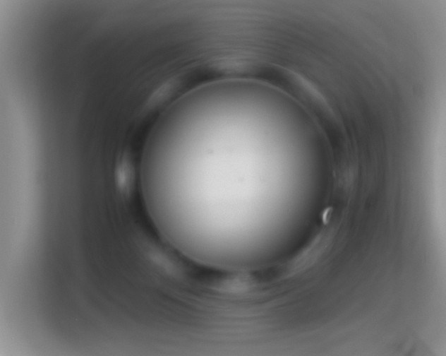 X0000113990124200910091346