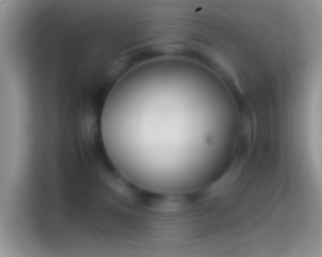 X0000113990128200910091346