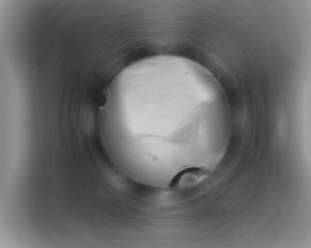 X0000113990130200910091346