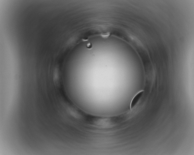 X0000113990132200910091346