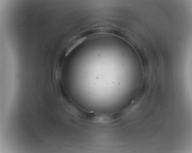 X0000113990137200910091346