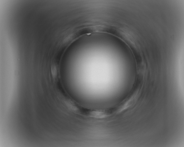 X0000113990139200910091346