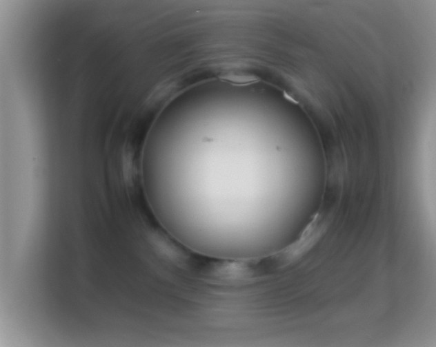 X0000113990140200910091346