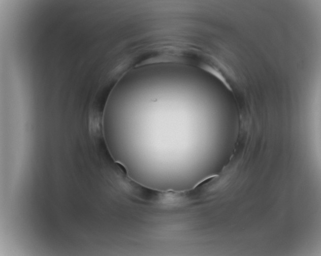 X0000113990141200910091346