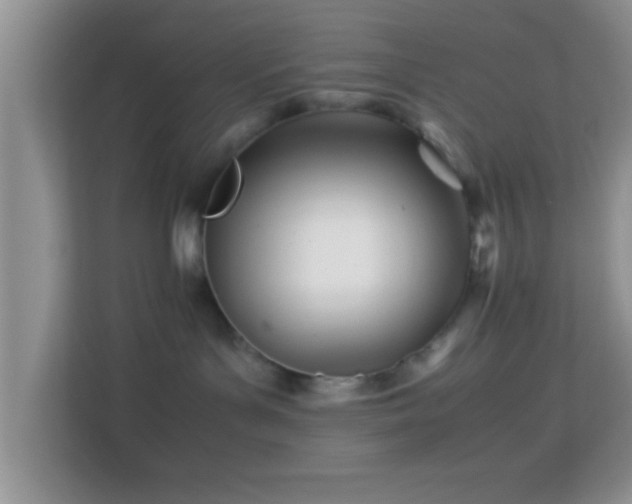 X0000113990143200910091346