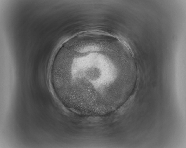 X0000113990145200910091345