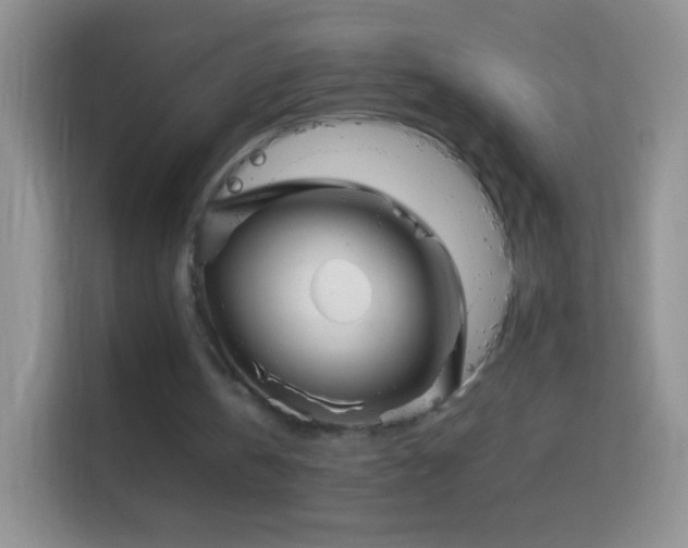 X0000113990146200910091345