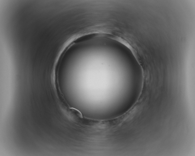 X0000113990148200910091345