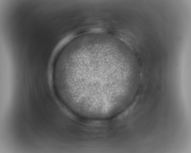 X0000113990149200910091345