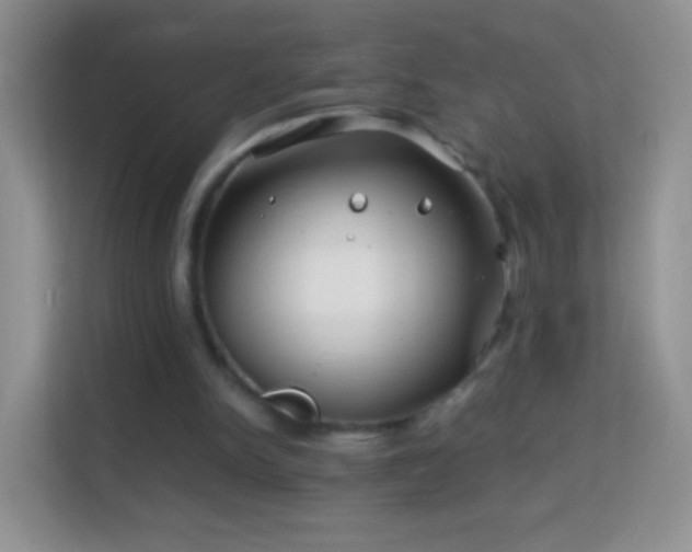 X0000113990150200910091345